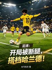 足球:开局被断腿,搭档哈兰德!