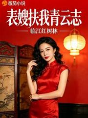 表嫂扶我青云志