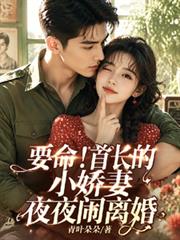 要命！首长的小娇妻夜夜闹离婚