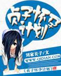 贞子怀孕计划