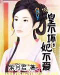 皇不坏,妃不爱