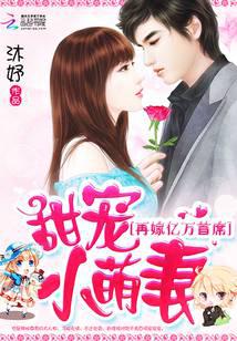 甜宠小萌妻:再嫁亿万首席