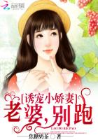 诱宠小娇妻:老婆,别跑