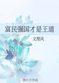 富民强国才是王道