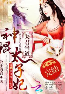 夫君当道：神棍太子妃