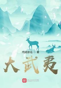 大武夷