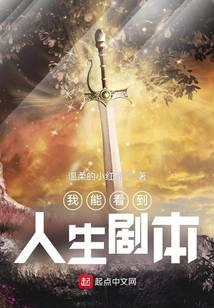 我能看到人生剧本