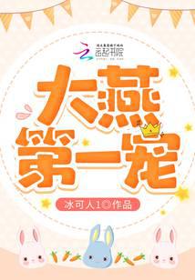 大燕第一宠