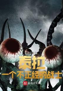 泰拉:一个不正经的战士