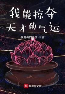 我能掠夺天才的气运
