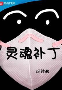 灵魂补丁