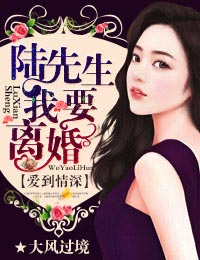 爱到情深，陆先生我要离婚！