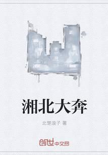 湘北大奔