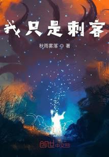 我只是刺客