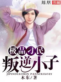 极品刁民:叛逆小子
