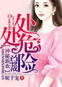 神秘新欢，总裁处处危险