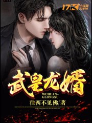 武皇龙婿