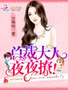 总裁大人,夜夜撩!