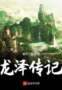 龙泽传记