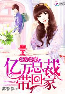 盛夏暖婚：亿万总裁带回家
