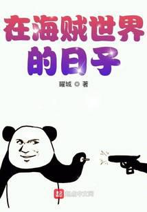在海贼世界的日子