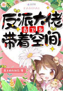 反派大佬带着空间去下乡