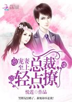 宠妻至上：总裁，轻点撩