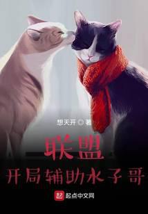 联盟:开局辅助水子哥