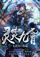 灵焚九霄