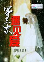 第三次遇见爱