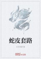 蛇皮套路