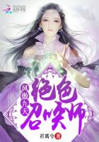 凤傲九天绝色召唤师