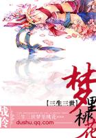 三生三世,梦里桃花