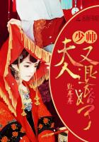 报告，夫人又退婚了
