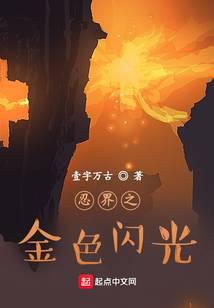 忍界之金色闪光