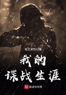 我的谍战生涯
