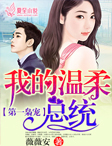第一枭宠:我的温柔总统