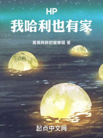 霍格沃茨:移动城堡的猫巫师