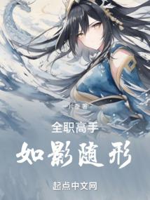 全职高手:如影随形