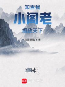 知否：我，小阁老，摄政天下