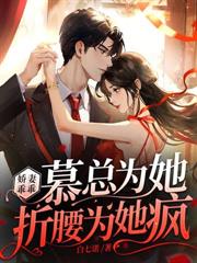 陆少的隐婚罪妻