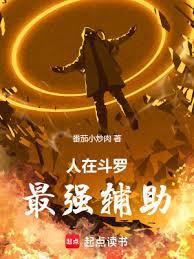 人在斗罗，最强辅助