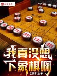 我真没想下象棋啊