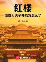 红楼帝梦