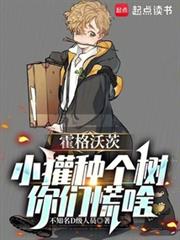 霍格沃茨：苟在獾院种田成神