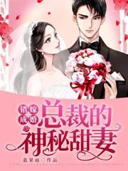 总裁的神秘甜妻