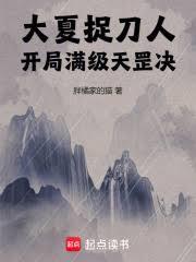 大夏捉刀人，开局满级天罡决