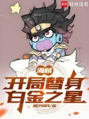 海贼:开局替身白金之星