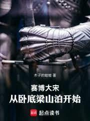 赛博大宋:从卧底梁山泊开始