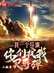 我一个导演，你们找我买飞弹？